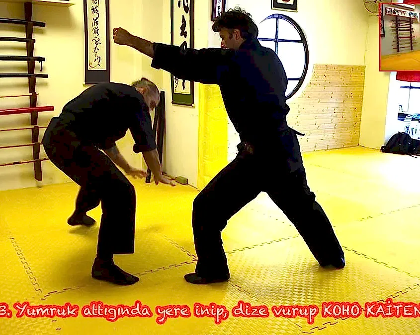 ninjutsu-uzaktan-egitim-program-1