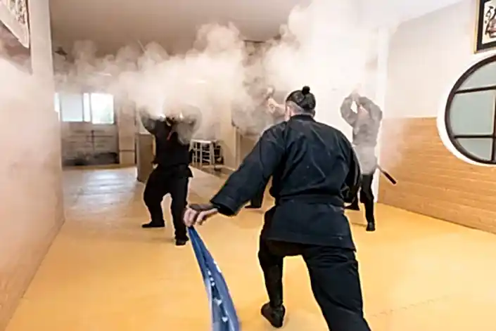 ninja-ve-golge-sanati-kitap-1