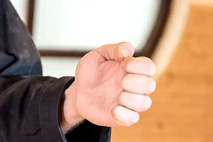 ninja-ve-golge-sanati-kitap-5