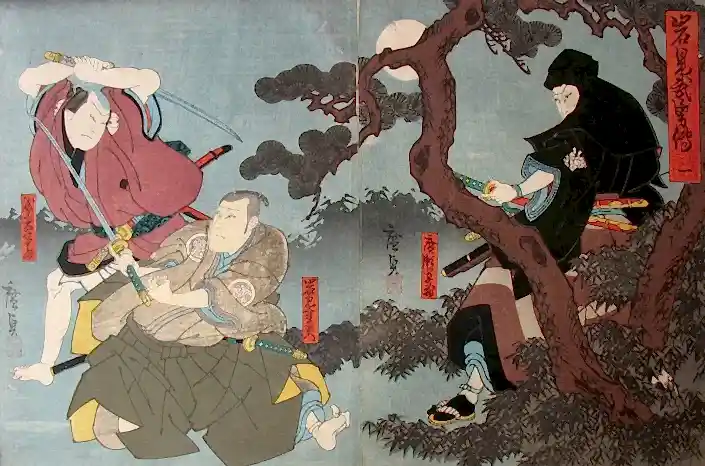 ninja-ve-golge-sanati-kitap-6